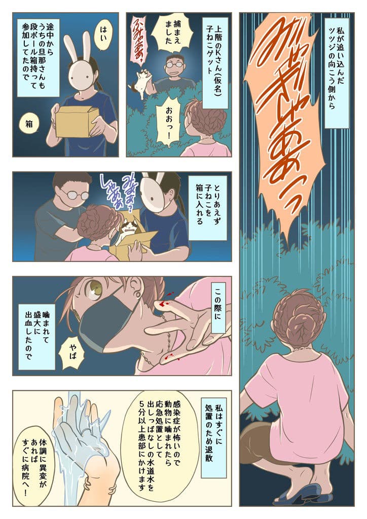 こねこをひろっただけなのに サンプル画像 4