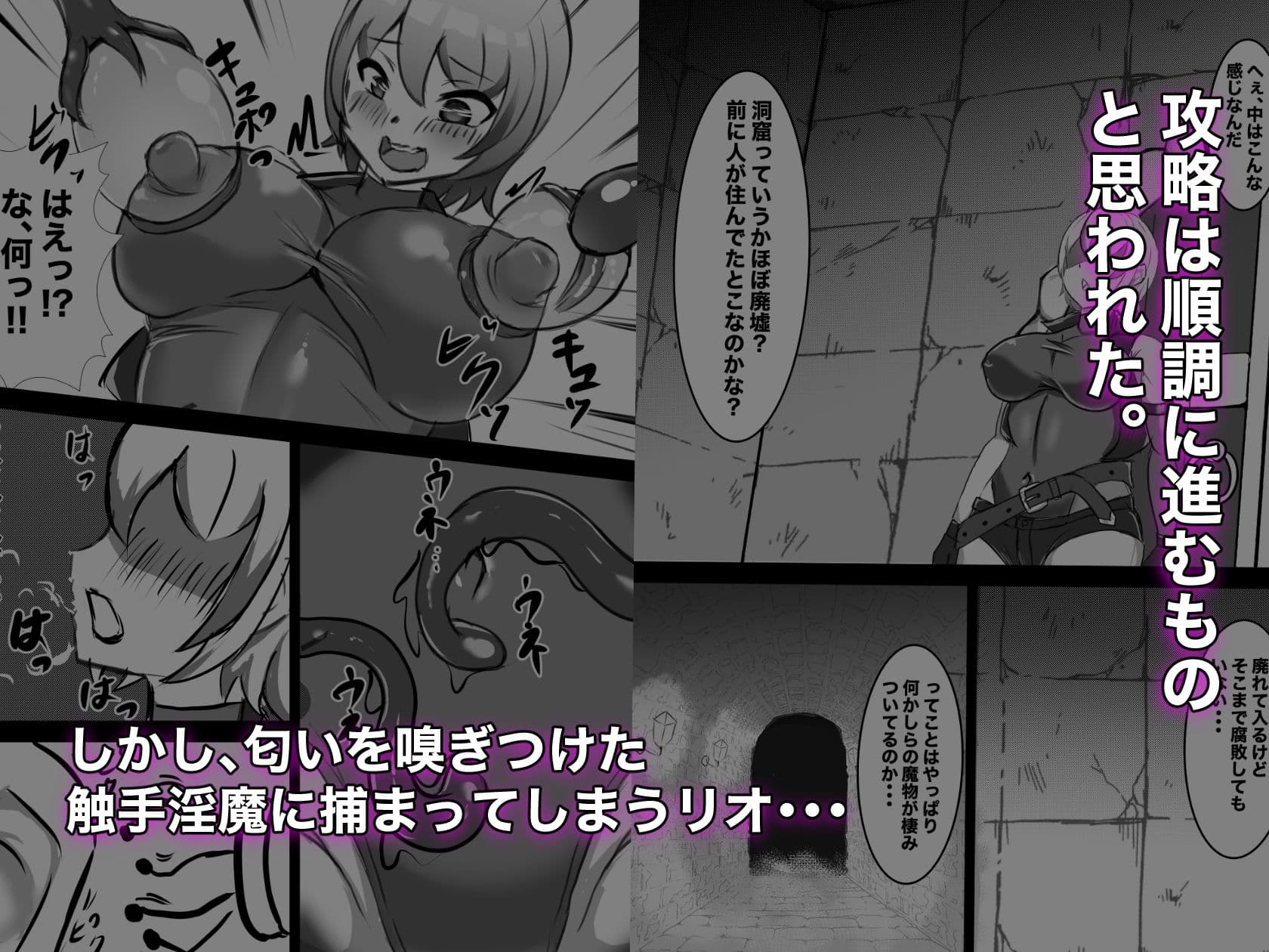 むっつりSランク冒険者、触手淫魔に捕らわれレベル排泄 & メス堕ち完全敗北 サンプル画像 2