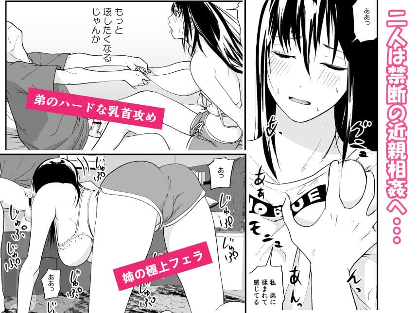 完璧な姉ちゃんの極太ディルドオナニーを目撃してしまった件 サンプル画像 2