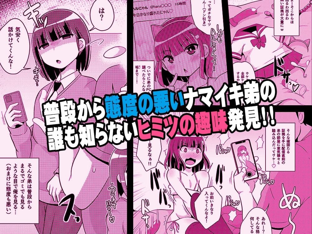 ナマイキ弟の精嚢をこねくり回してメス♂にする本 サンプル画像 1