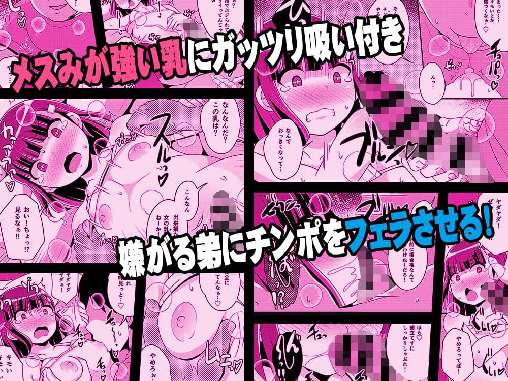 ナマイキ弟の精嚢をこねくり回してメス♂にする本 サンプル画像 3