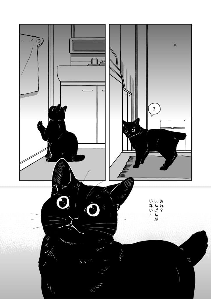 おうちねこじかん サンプル画像 3