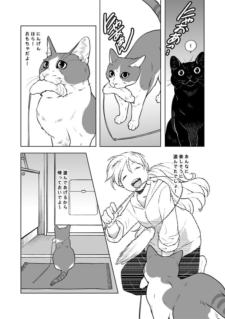 おうちねこじかん サンプル画像 4