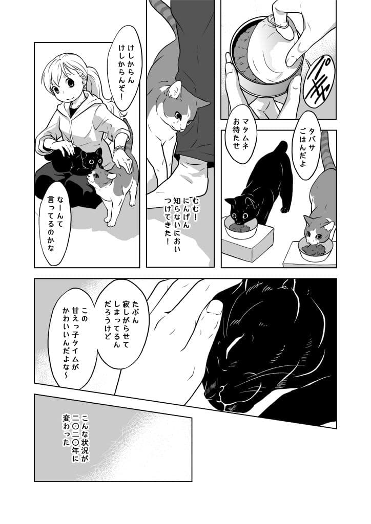 おうちねこじかん サンプル画像 7