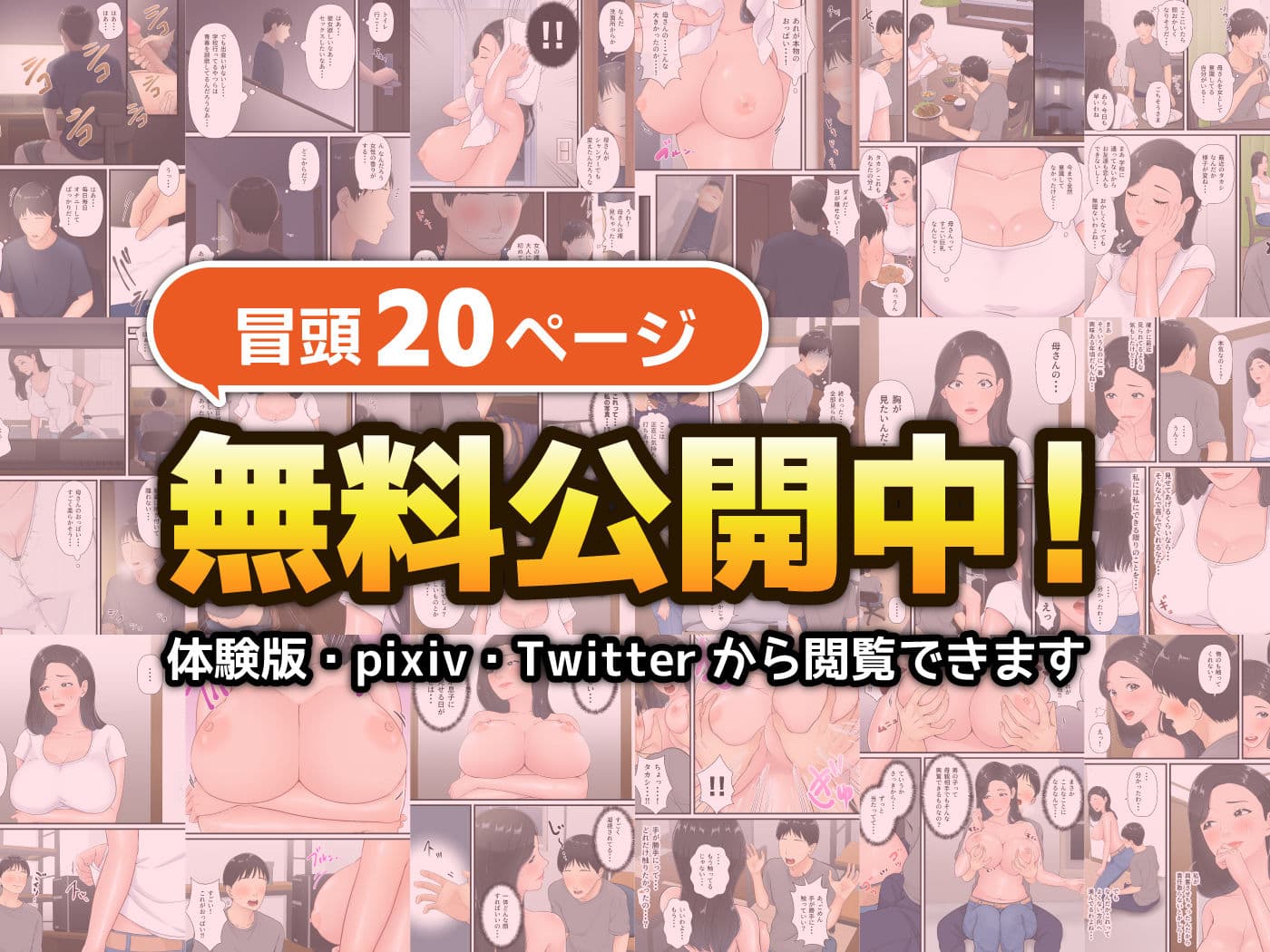まともな母親が息子のチンポに堕ちるまで サンプル画像 10