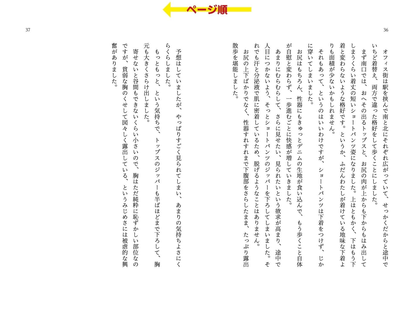 委員長・静井莉子の露出自慰日記 〜優等生のカゲキなイキぬき〜 サンプル画像 5