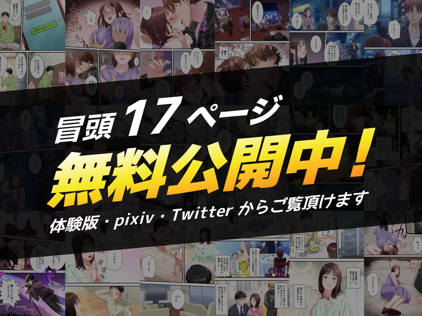 僕の最愛の妻がミュージシャンにDMナンパされてあっさり寝取られた話 サンプル画像 10