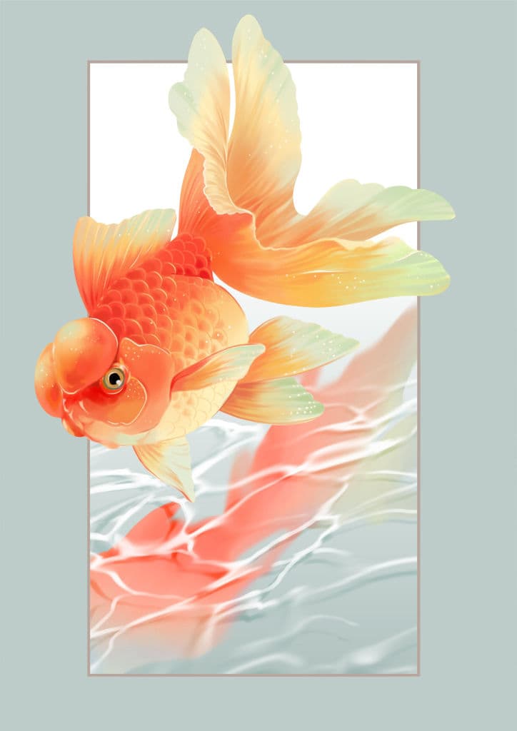 金魚と暮らす サンプル画像 8