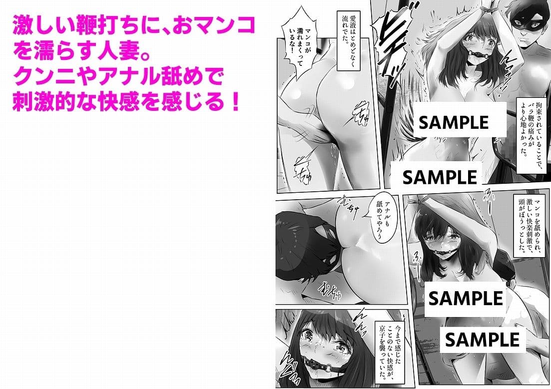 不倫人妻調教物語 杉原京子編(2) サンプル画像 3