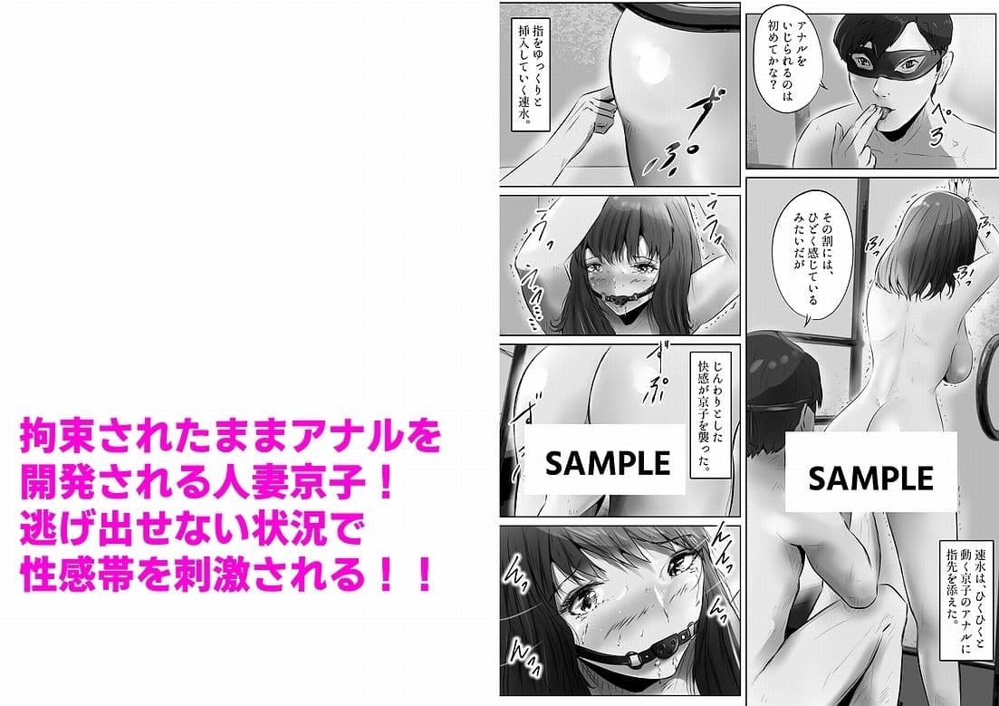 不倫人妻調教物語 杉原京子編(2) サンプル画像 4