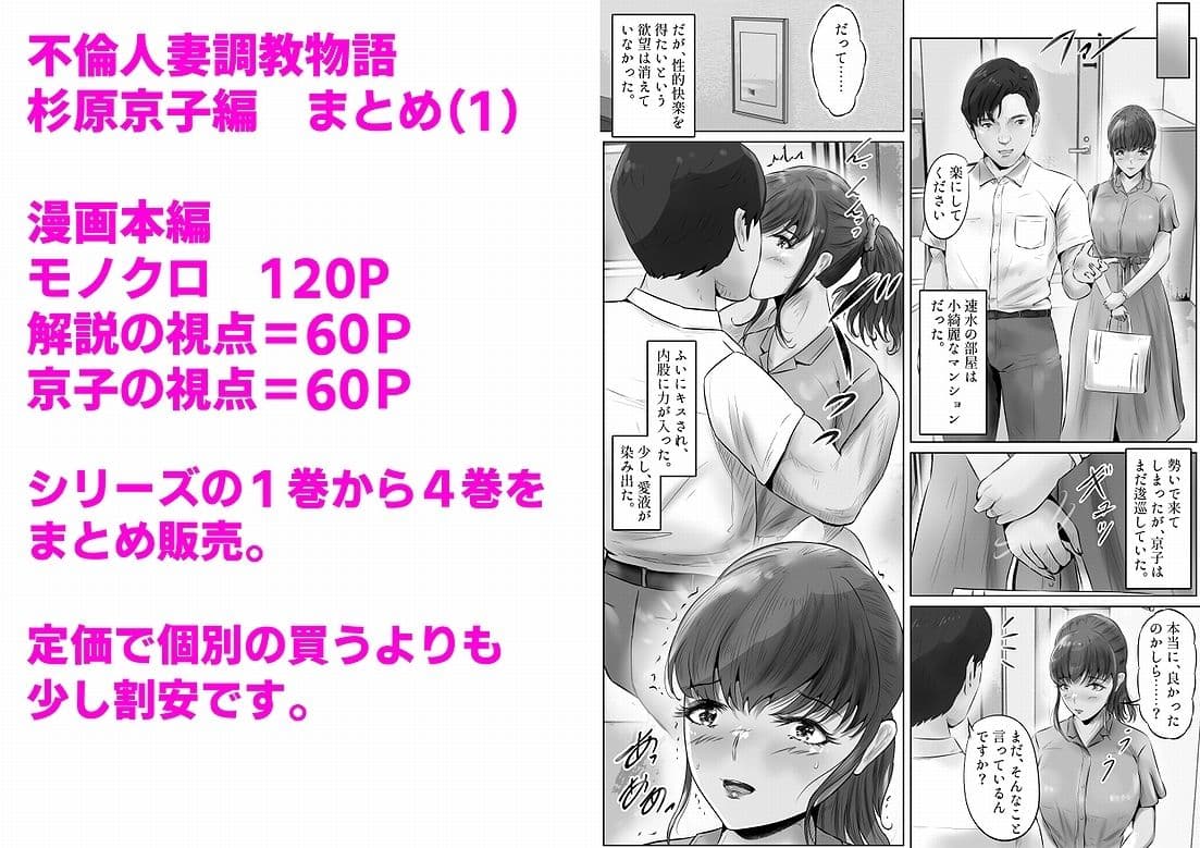 不倫人妻調教物語 杉原京子編 まとめ(1) サンプル画像 1