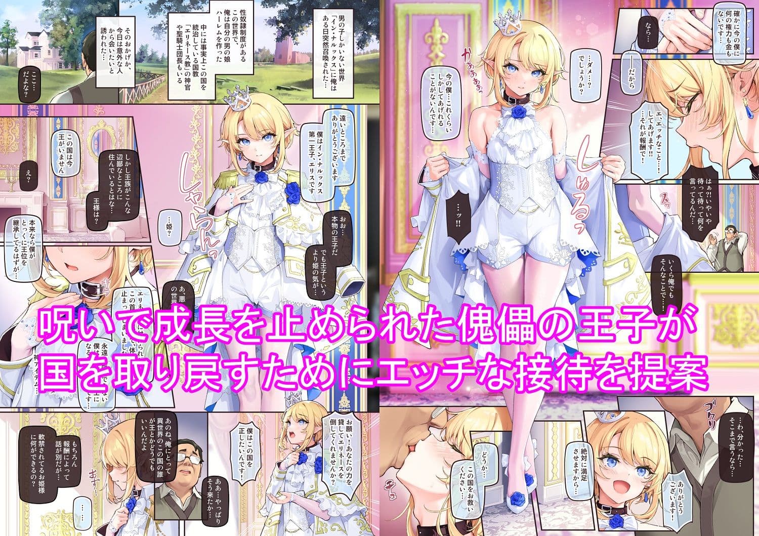 異世界オトコノコ王子従順隷奴〜呪いで成長が止まった王子を弄びメス堕ちさせる〜 サンプル画像 1