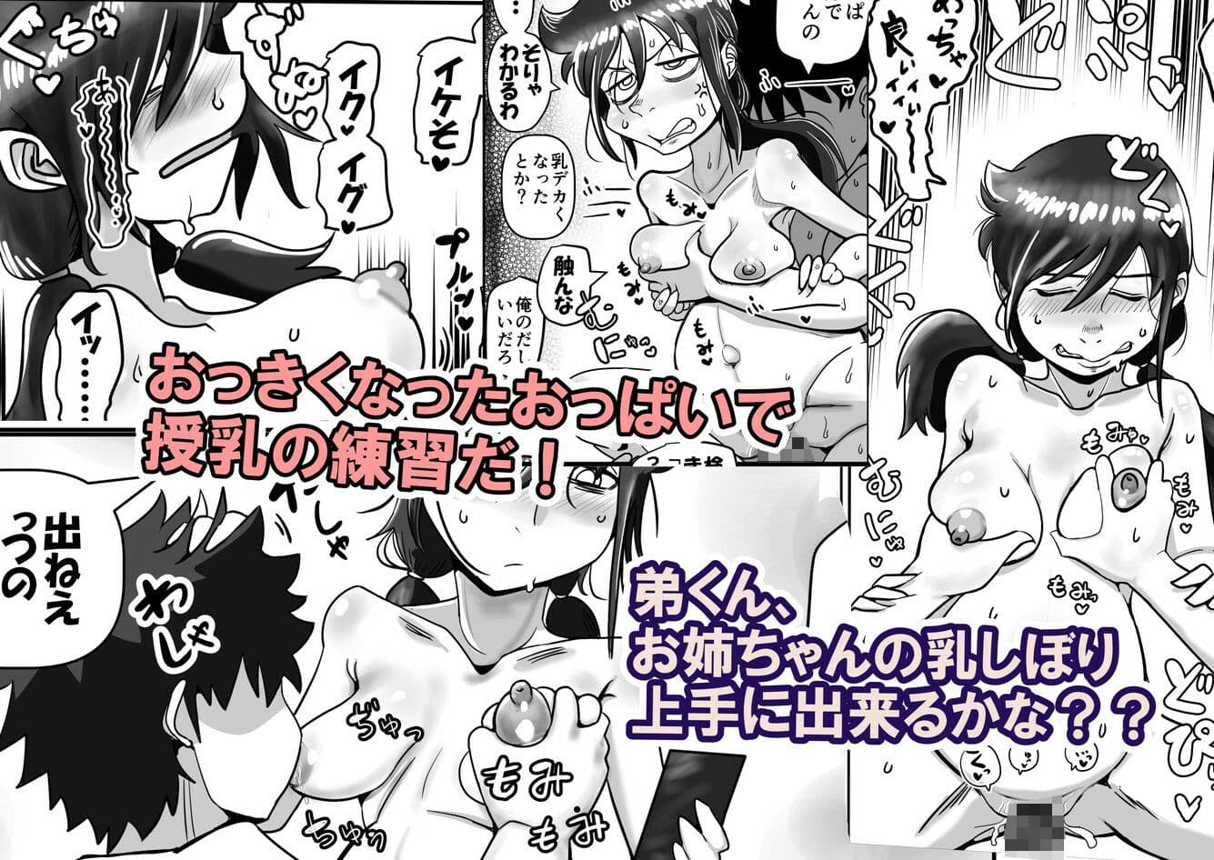 智こキ 妊婦諦念編 私はモテないけど弟との愛も合意もないHで妊娠し法律で許された中絶可能週数すら超過して人生詰んだけどやっぱり私が悪いの?(泣き声) サンプル画像 3