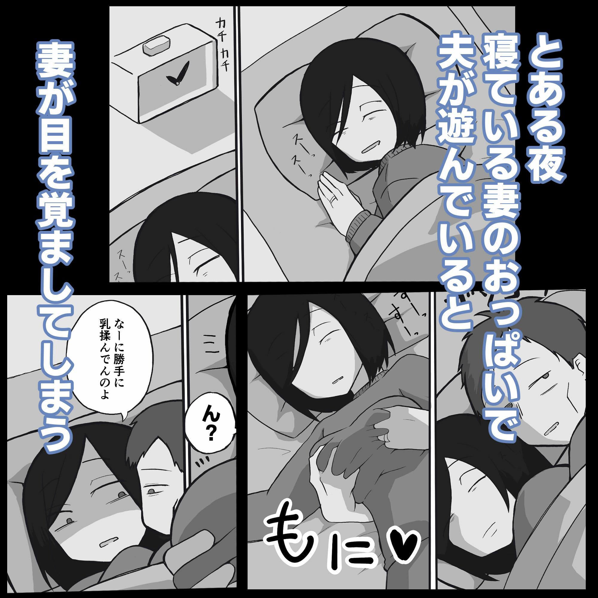 普通の夫婦の最後の夜。 サンプル画像 1