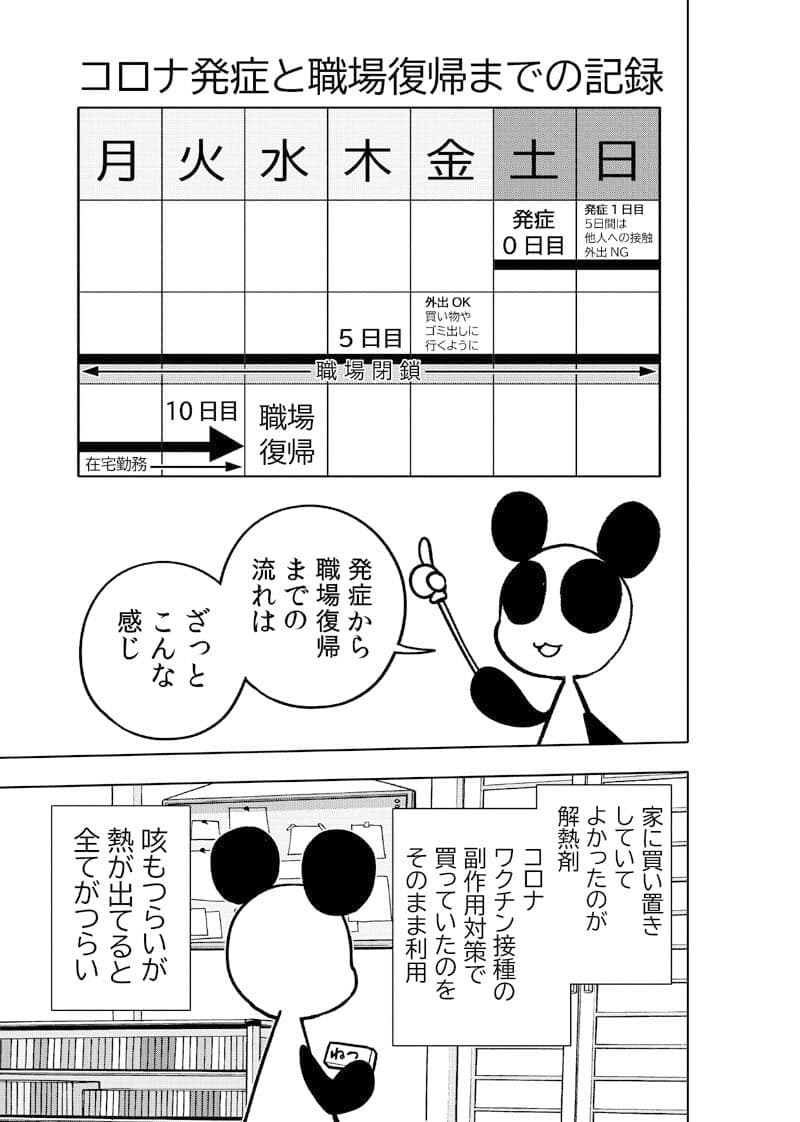 コロナウイルスと過ごす日常〜コロナになったよ記録〜 サンプル画像 6