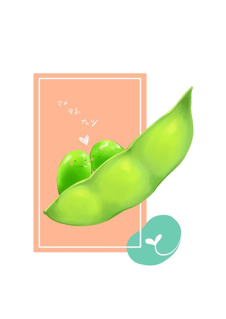 マメタネナッツ サンプル画像 8