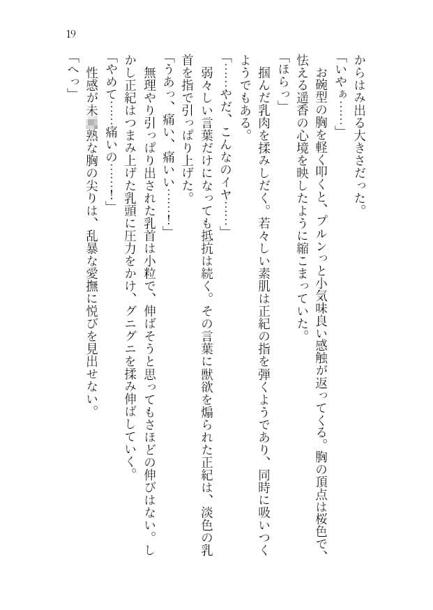 【官能小説】アイドル志望女子大生 強●ハメ撮り【レ●プ凌●】 サンプル画像 1