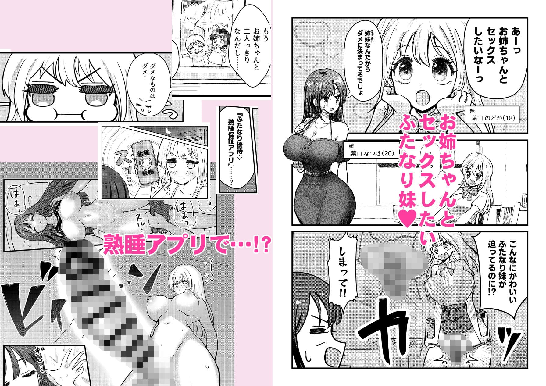 ふたなり妹が大好きなお姉ちゃんを睡眠姦する話 サンプル画像 1