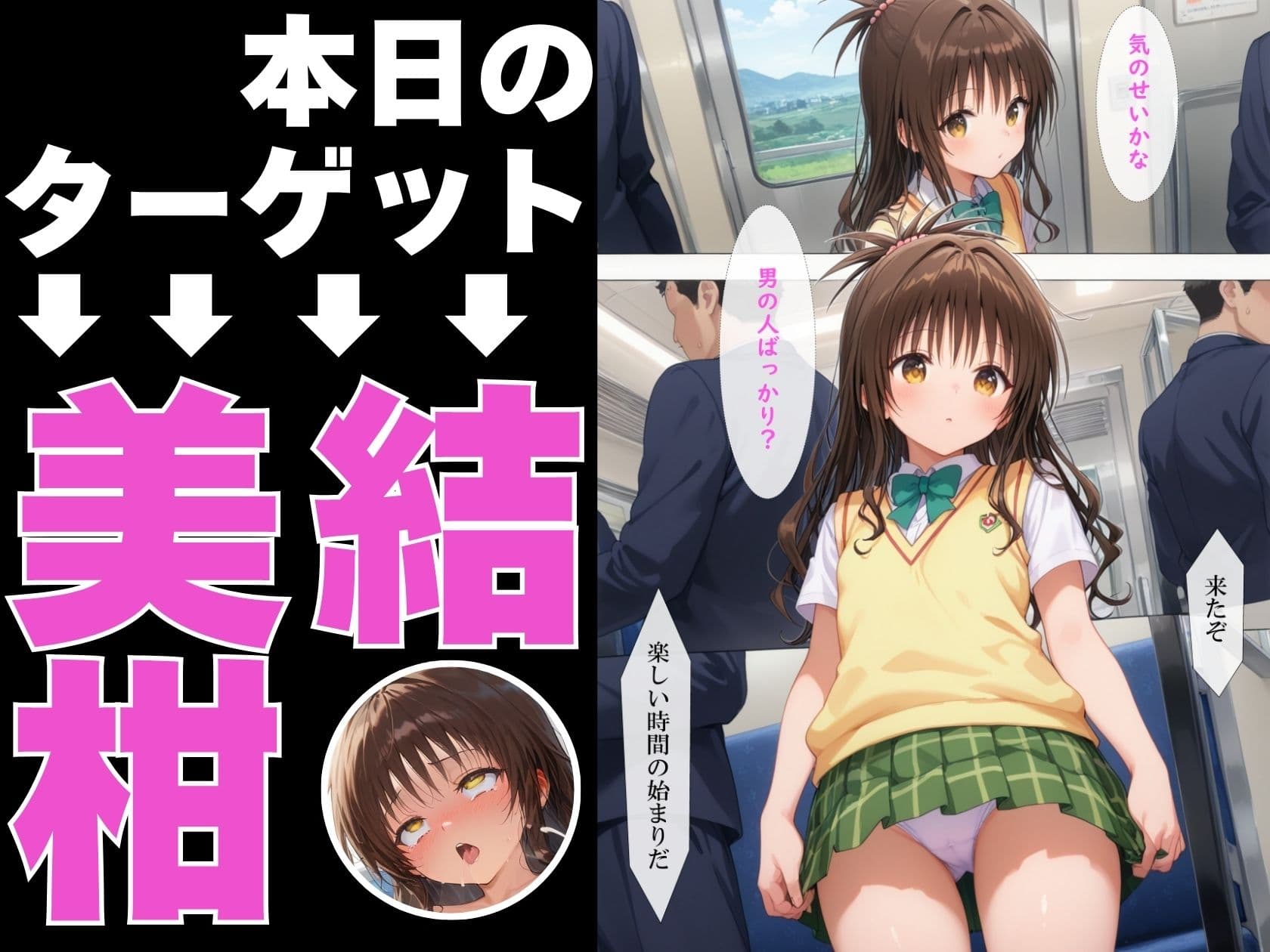 調教ヒロイン 結〇美柑 編 電車でオス達に痴〇されてメスにされました サンプル画像 2