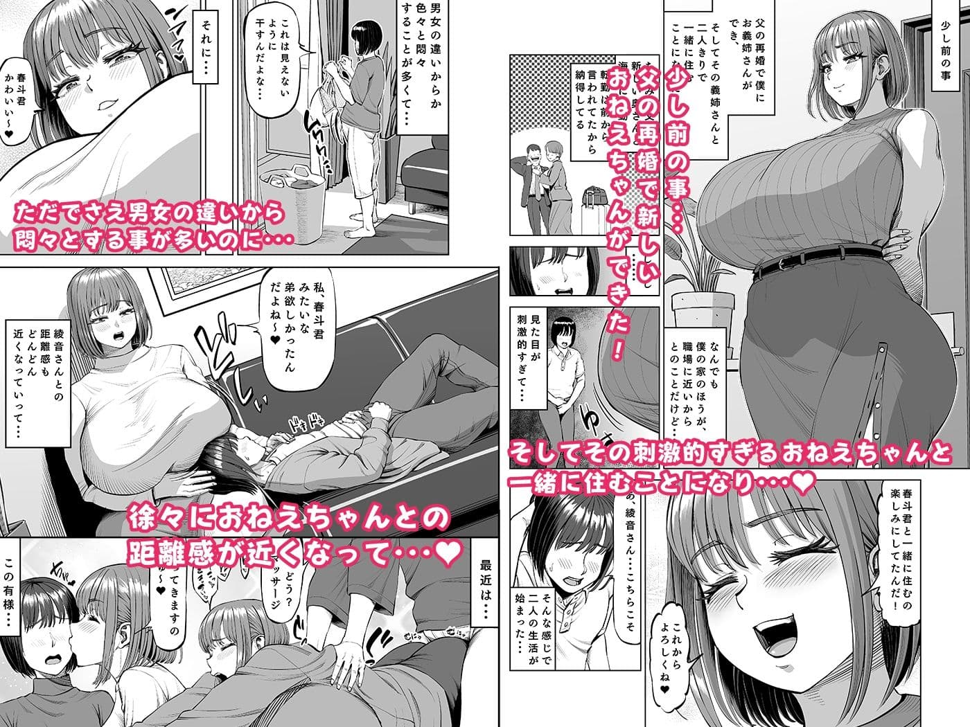 おねえちゃんと仲良し性活 サンプル画像 1