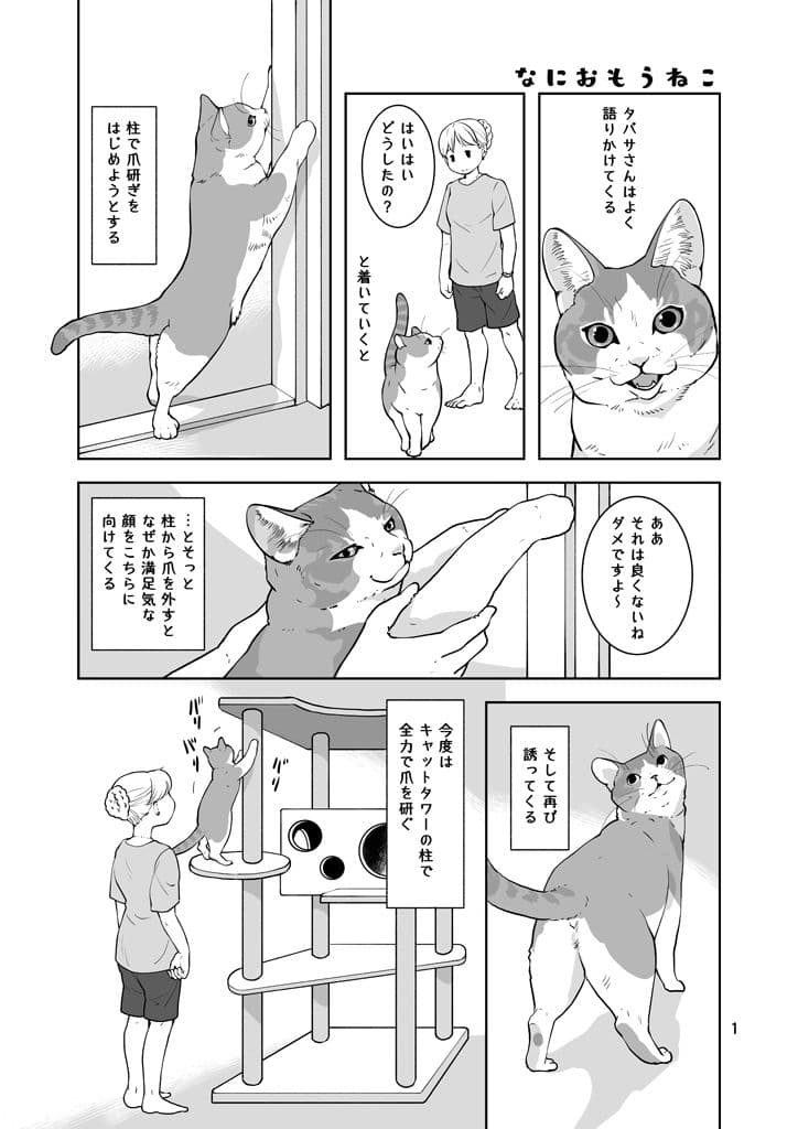 なにおもうねことひと サンプル画像 1