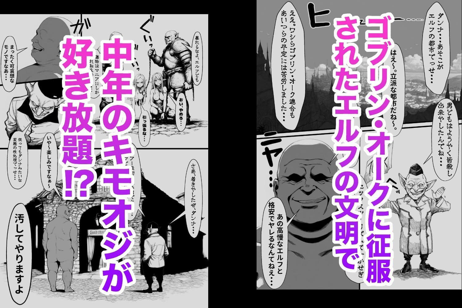 中年キモおじ、エルフを汚すってよ。 サンプル画像 1