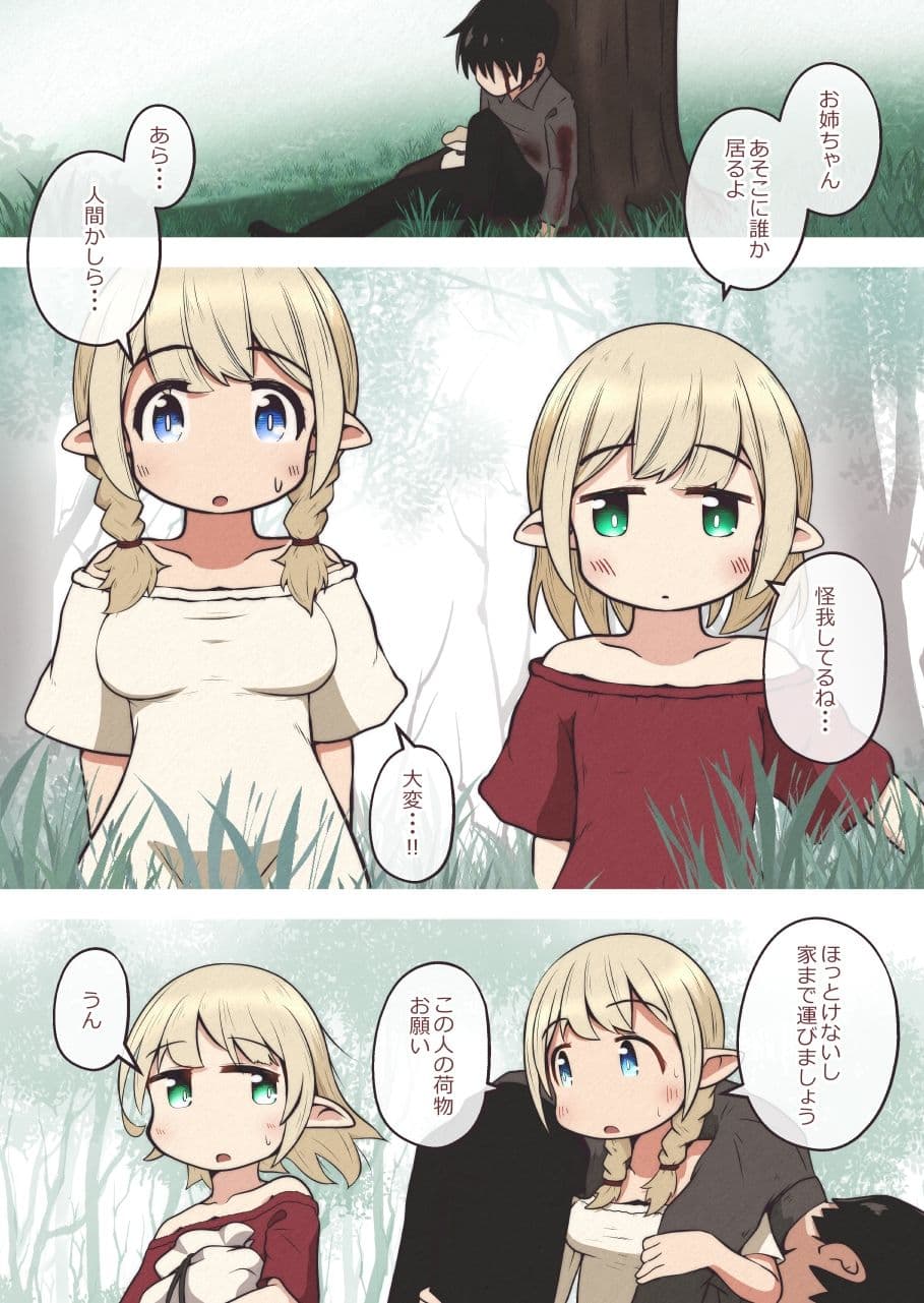 エルフの姉妹に助けられた冒険者が性奴●にされるお話 サンプル画像 1