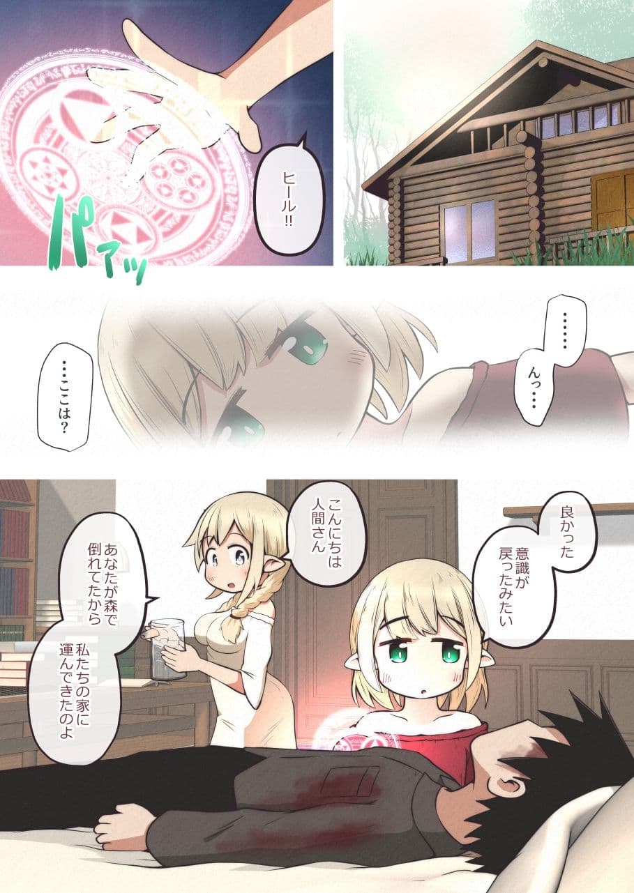エルフの姉妹に助けられた冒険者が性奴●にされるお話 サンプル画像 2