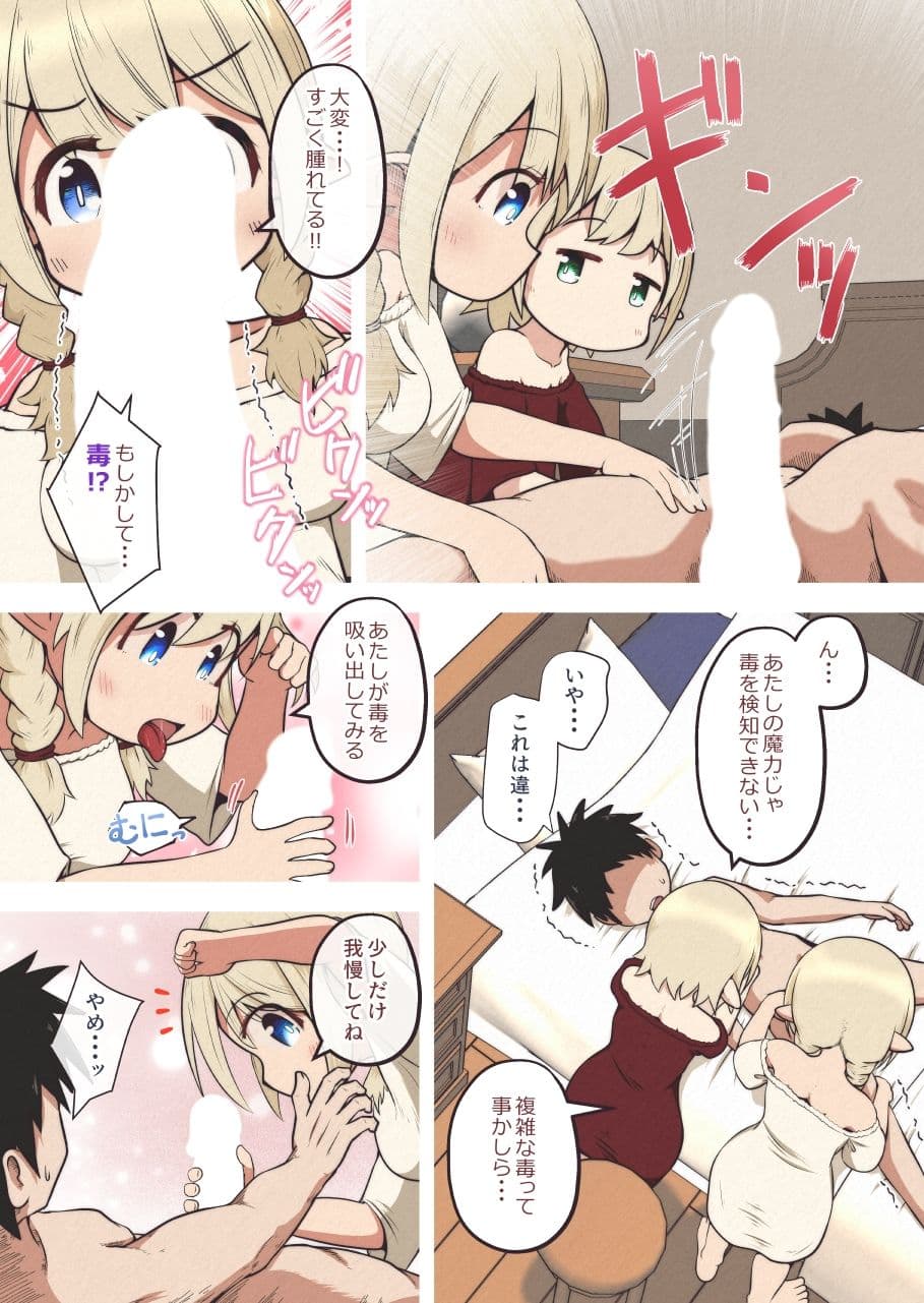 エルフの姉妹に助けられた冒険者が性奴●にされるお話 サンプル画像 4