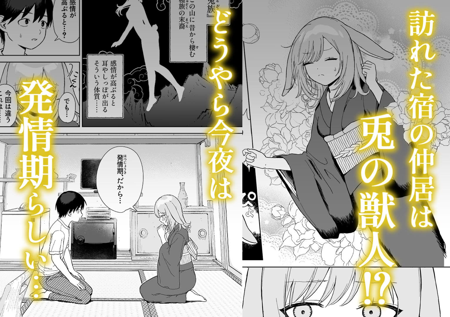 発情うさぎは満月の夜に交尾する サンプル画像 1