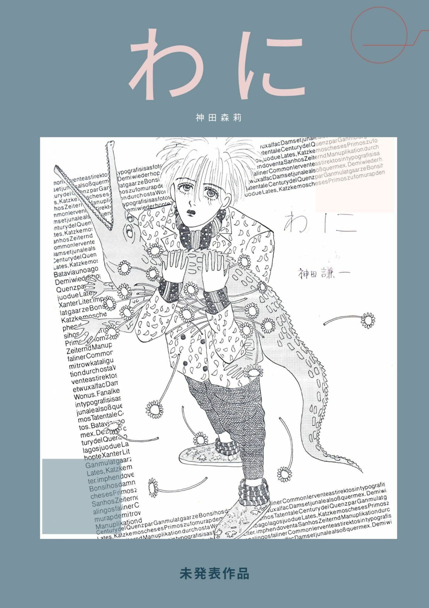 未発表作品『わに』1988年 - 神田森莉 サンプル画像 1