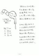 アトランティス陰史 魔導大陸淫辱画集 1 ブラウザ版 - 68ページ