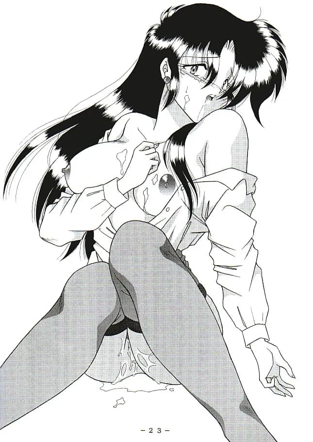 官能写真集アニメキャラ編パック - 5ページ