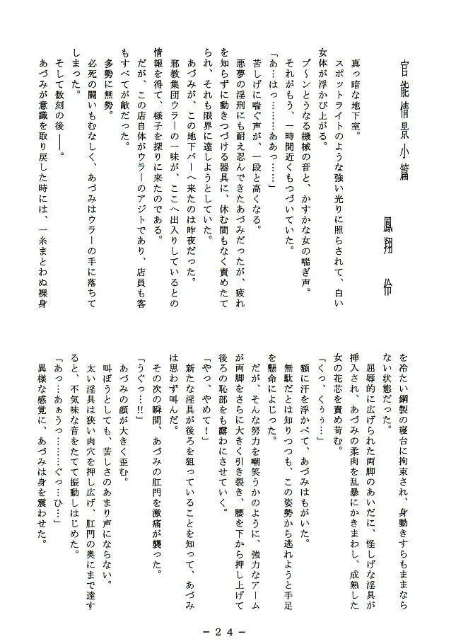 官能写真集アニメキャラ編パック - 6ページ