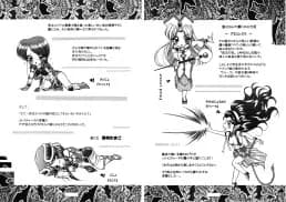 魔導の王国・淫辱の罠に堕ちる美姫 SIDE:B - 19ページ