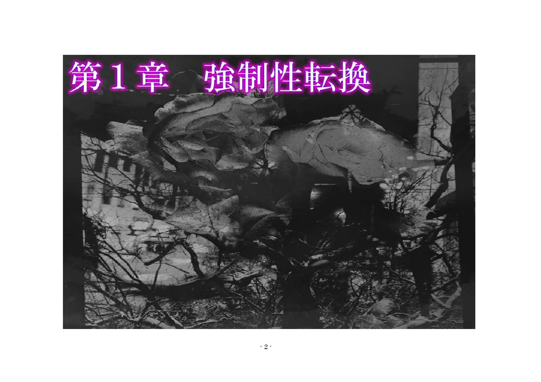 TSリボルバー TSオンライン - 6ページ