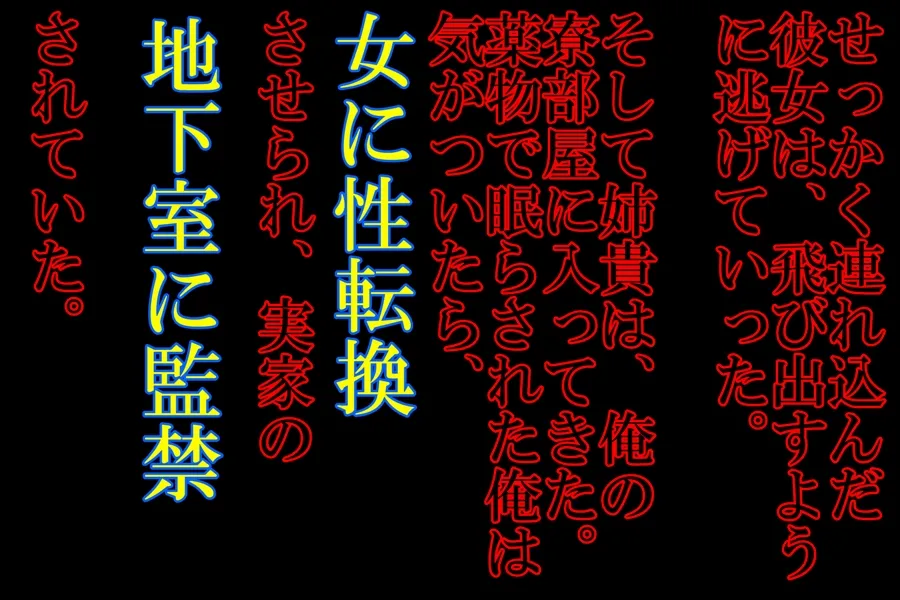 ヤンデレ姉貴が俺を女にした! - 19ページ
