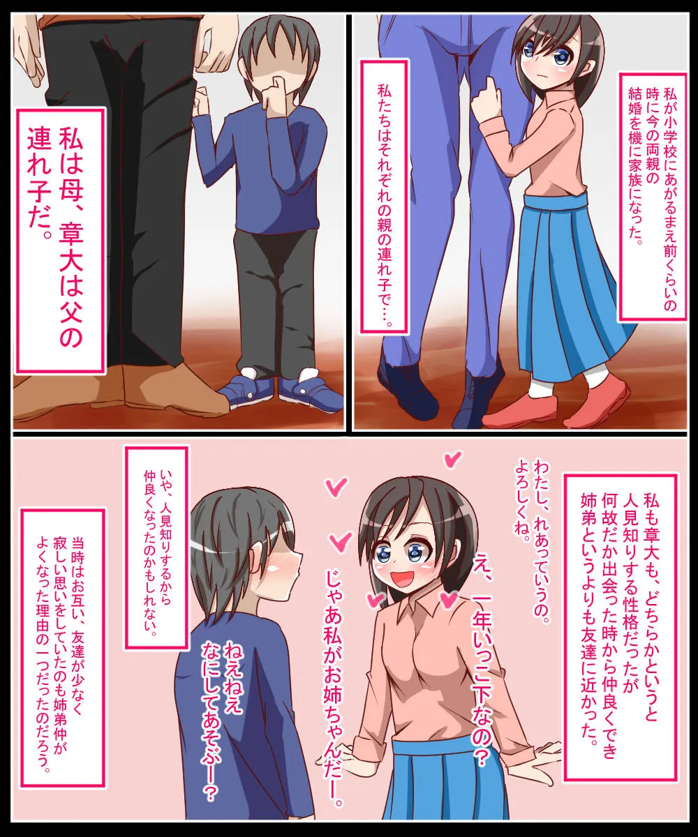 夏に寝取られた姉 - 6ページ