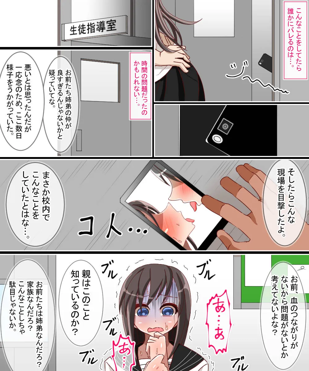 夏に寝取られた姉 - 9ページ