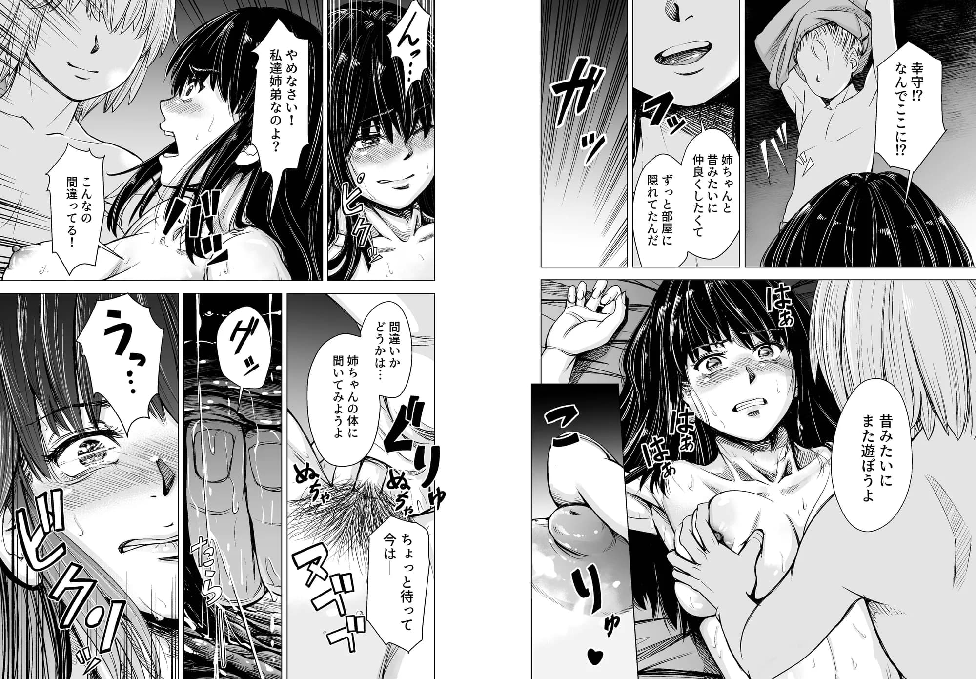 もう、姉として認識できない。 - 2ページ