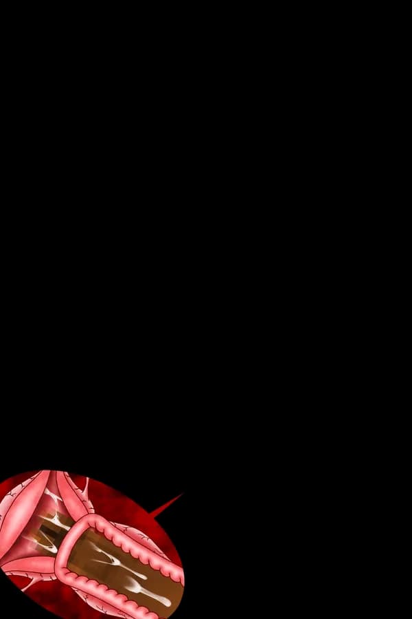 ぎぶみー魔力メス〇キイリヤ&令呪変態命令着せ替え美遊 - 3ページ