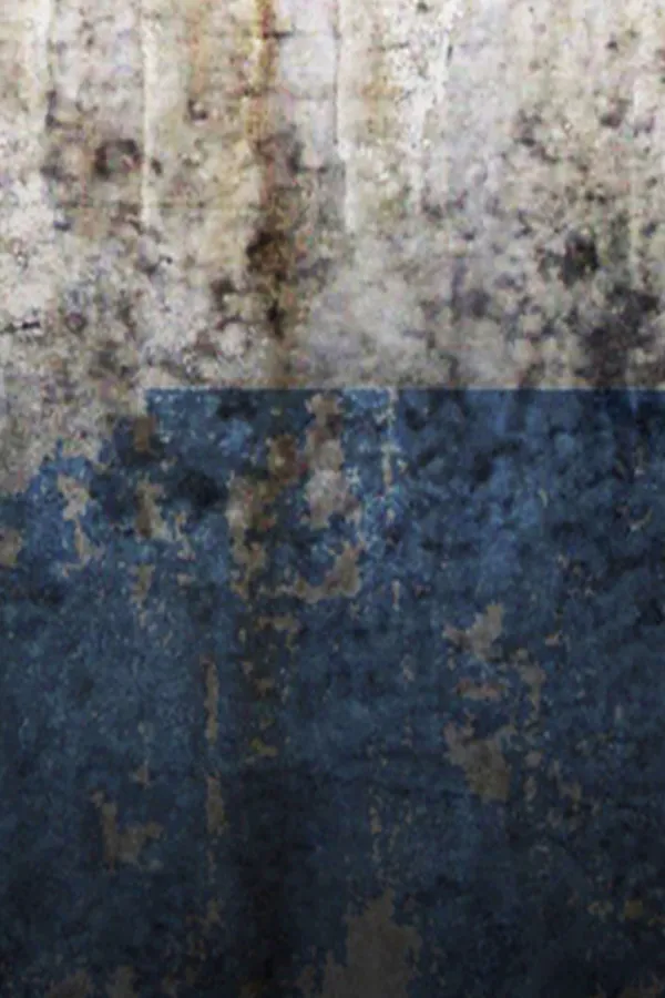 ぎぶみー魔力メス〇キイリヤ&令呪変態命令着せ替え美遊 - 5ページ