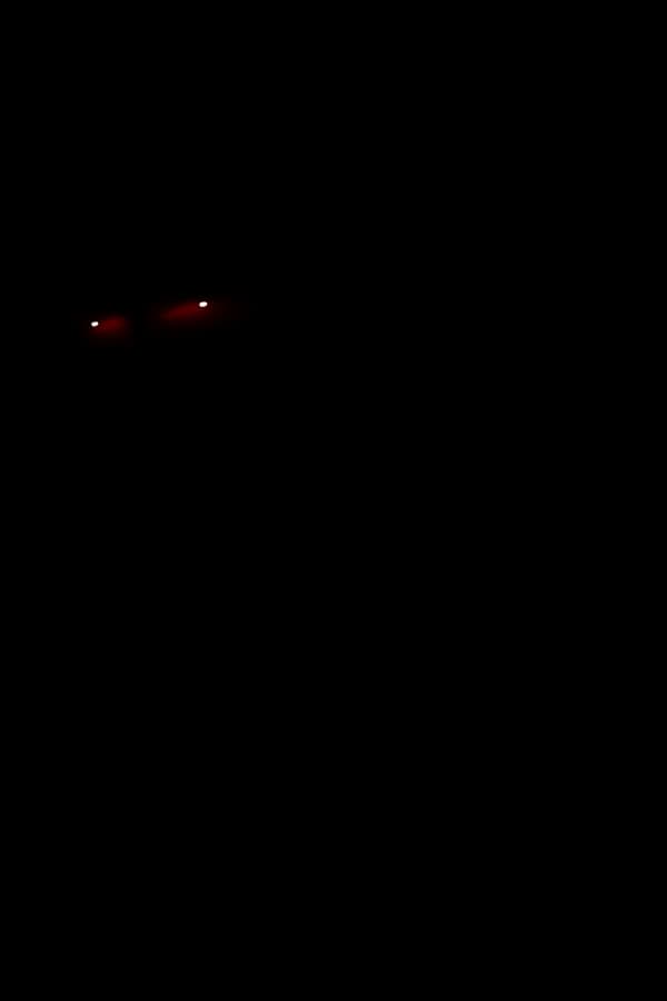 ぎぶみー魔力メス〇キイリヤ&令呪変態命令着せ替え美遊 - 6ページ