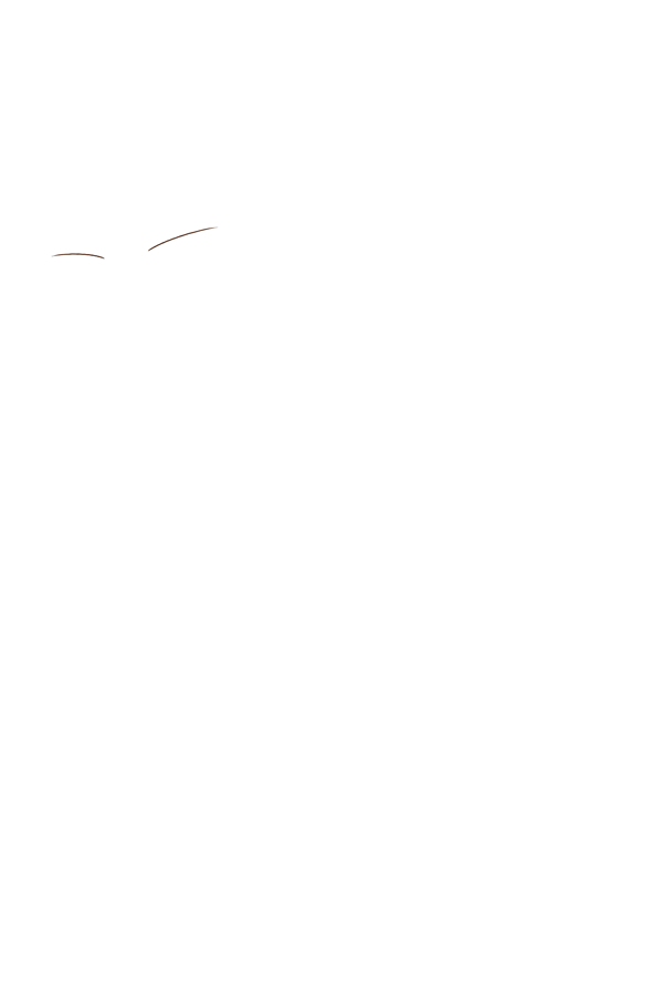 ぎぶみー魔力メス〇キイリヤ&令呪変態命令着せ替え美遊 - 20ページ