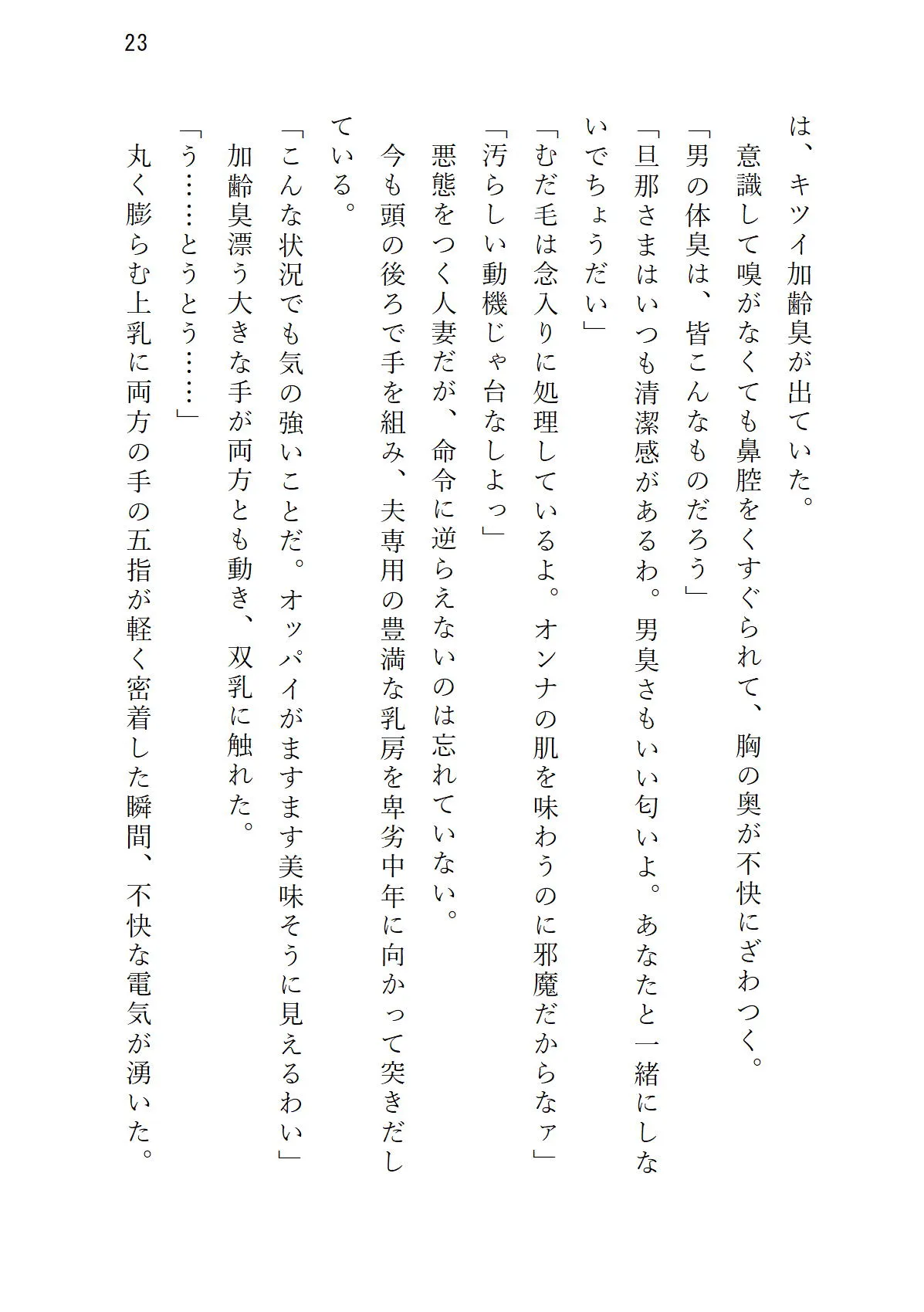 気の強い美妻 ゲス重役とのホワイトクリスマス - 23ページ