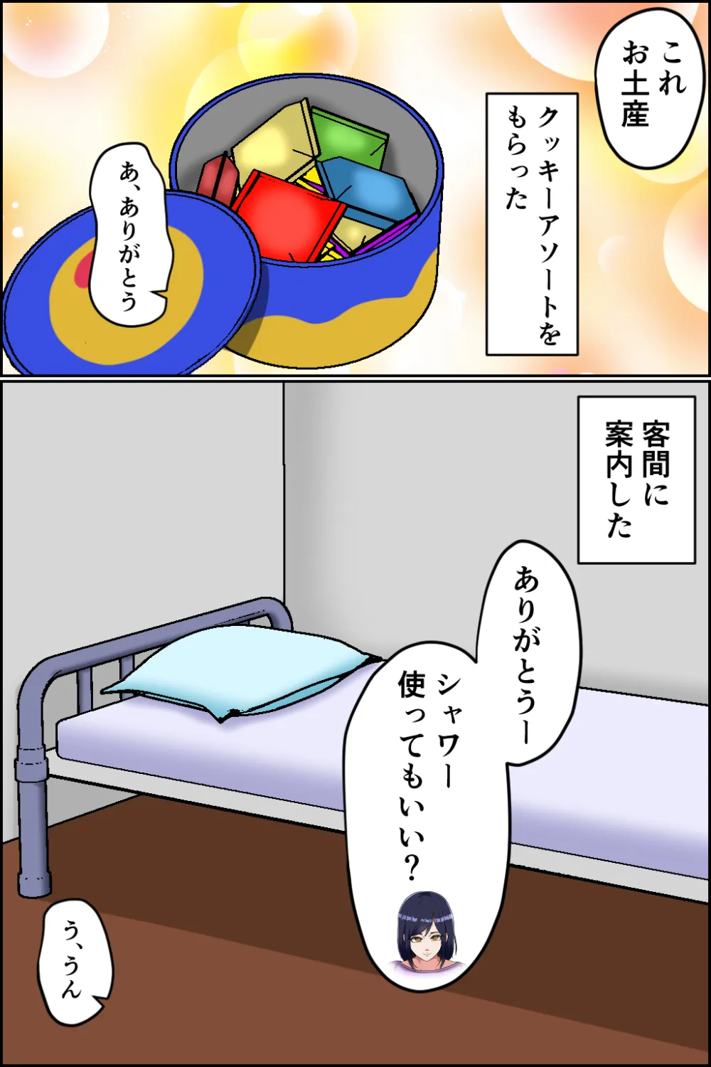 孕ませ睡眠姦 - 13ページ