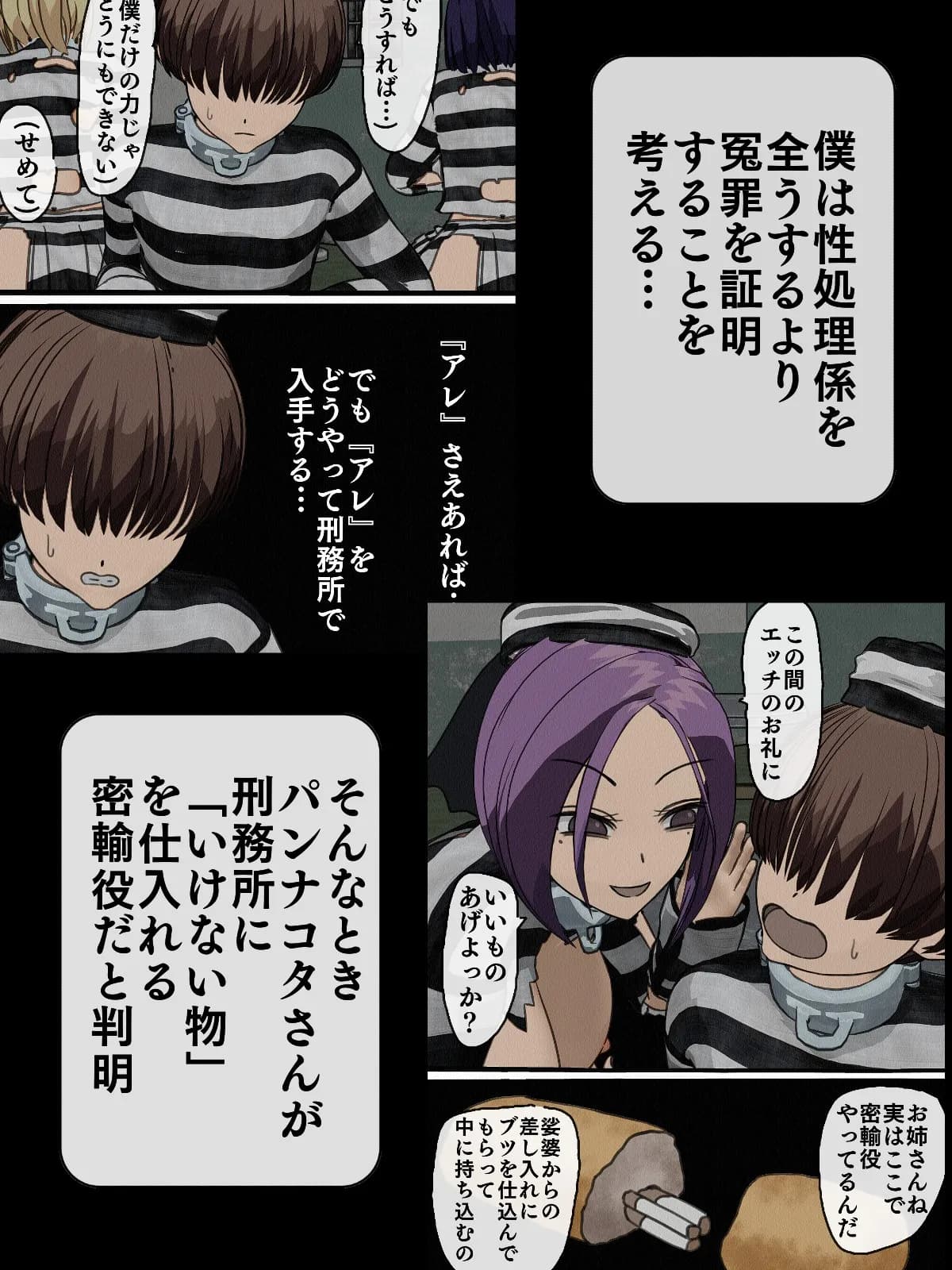 監獄玩具 3〜性処理係として女子刑務所に収監された僕〜 - 3ページ