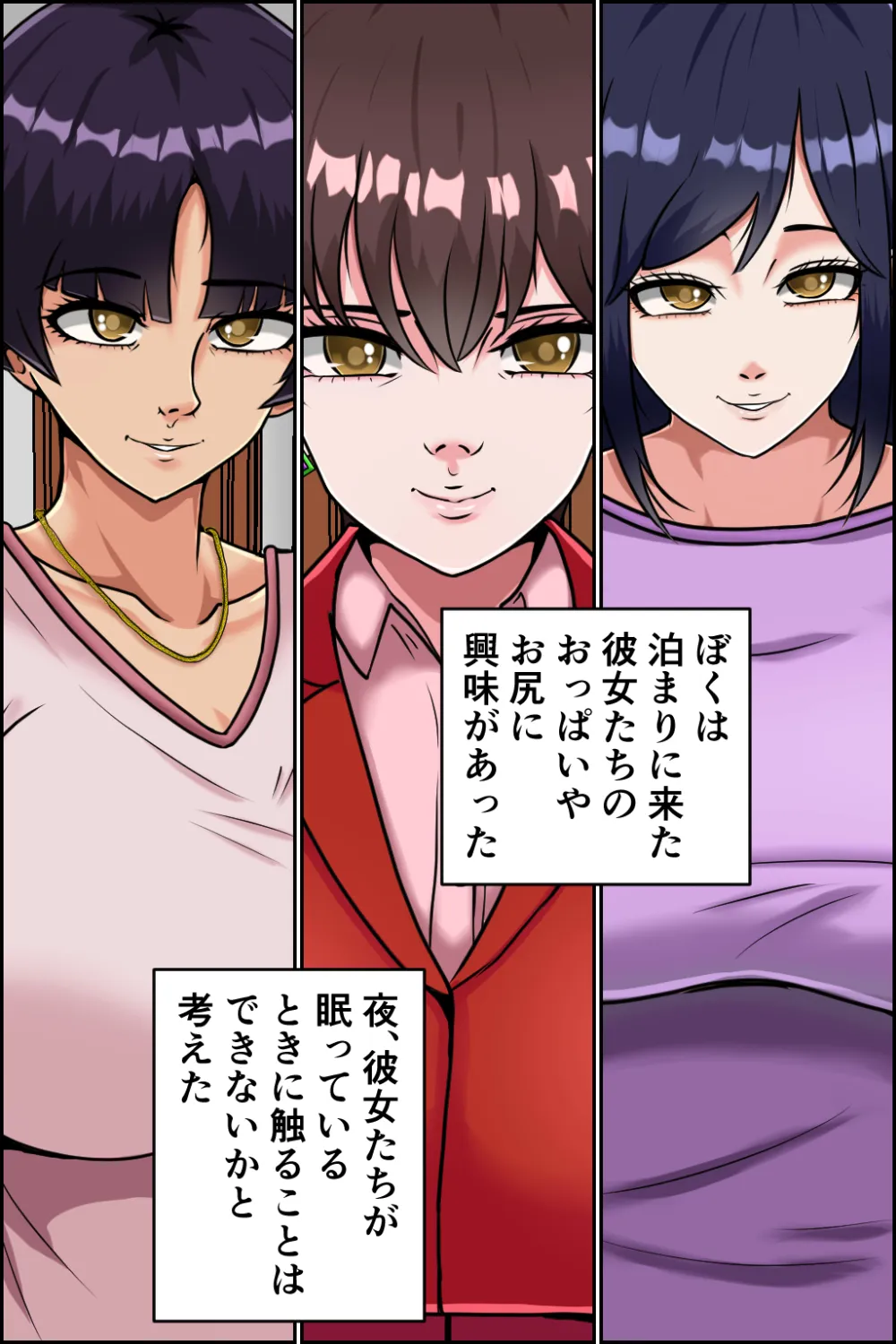 孕ませ睡眠姦4 - 6ページ