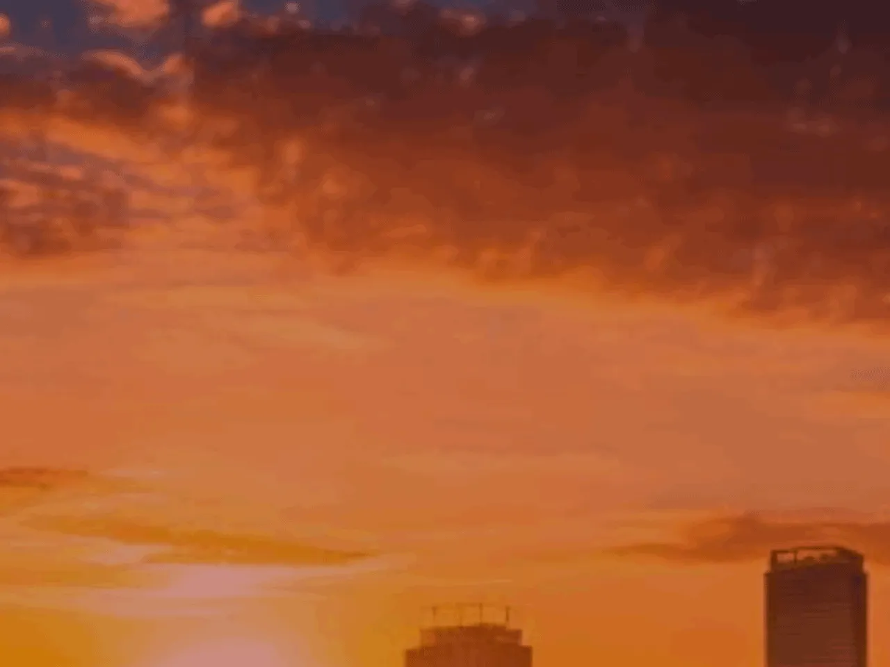 催● 子作り代行サービス - 48ページ