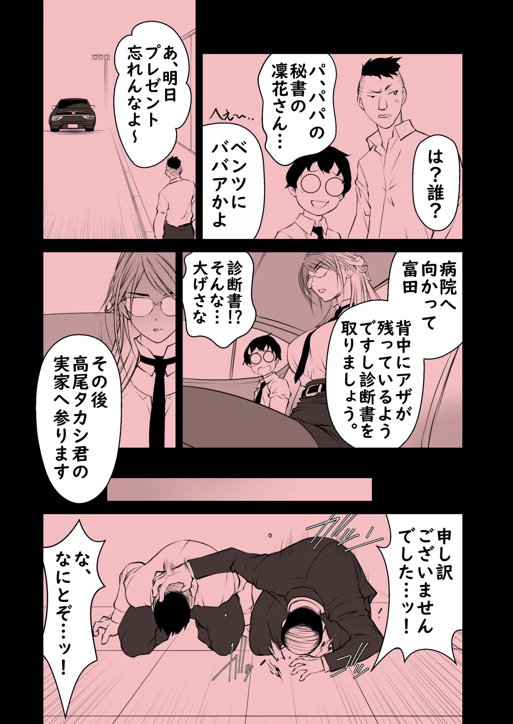 パッパの秘書 - 3ページ